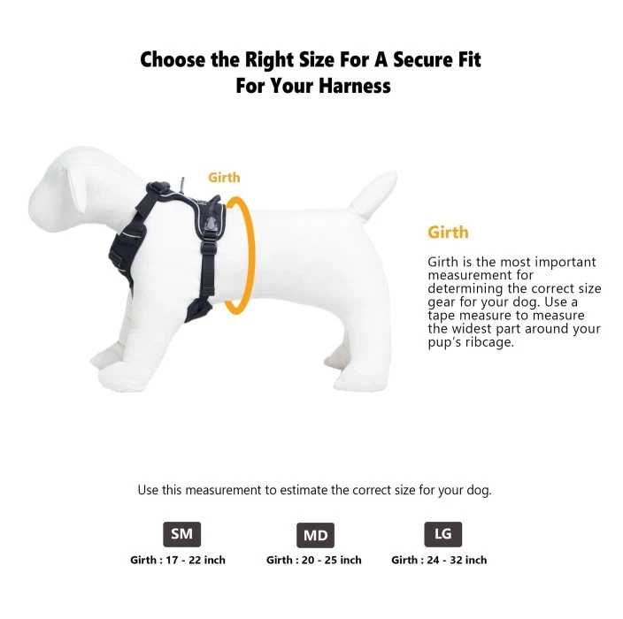 OllyDog Alpine Reflective Harness Atlantic 8 OllyDog Alpine Reflective Harness Atlantic - Image 6