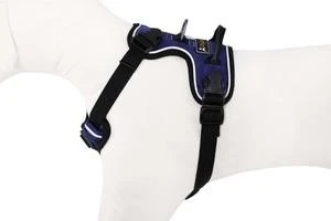 OllyDog Alpine Reflective Harness Atlantic 6 OllyDog Alpine Reflective Harness Atlantic - Image 4