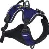 OllyDog Alpine Reflective Harness Atlantic -Hurtta myymälä ollydog alpine reflective harness atlantic 8