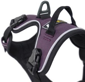 OllyDog Alpine Reflective Harness Dahlia 4 OllyDog Alpine Reflective Harness Dahlia - Image 2