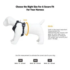 OllyDog Alpine Reflective Harness Dahlia 13 OllyDog Alpine Reflective Harness Dahlia -Hurtta myymälä ollydog alpine reflective harness dahlia 5