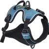 OllyDog Alpine Reflective Harness Malibu -Hurtta myymälä ollydog alpine reflective harness malibu 2