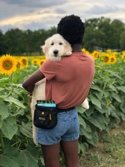 OllyDog Backcountry Day Bag Vyölaukku Raven -Hurtta myymälä ollydog backcountry day bag raven 4