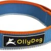 OllyDog Urban Trail Reflective Collar Air Blue -Hurtta myymälä ollydog urban trail reflective collar air blue 3