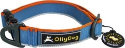 OllyDog Urban Trail Reflective Collar Air Blue