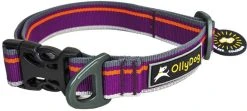 OllyDog Urban Trail Reflective Collar Wild Aster