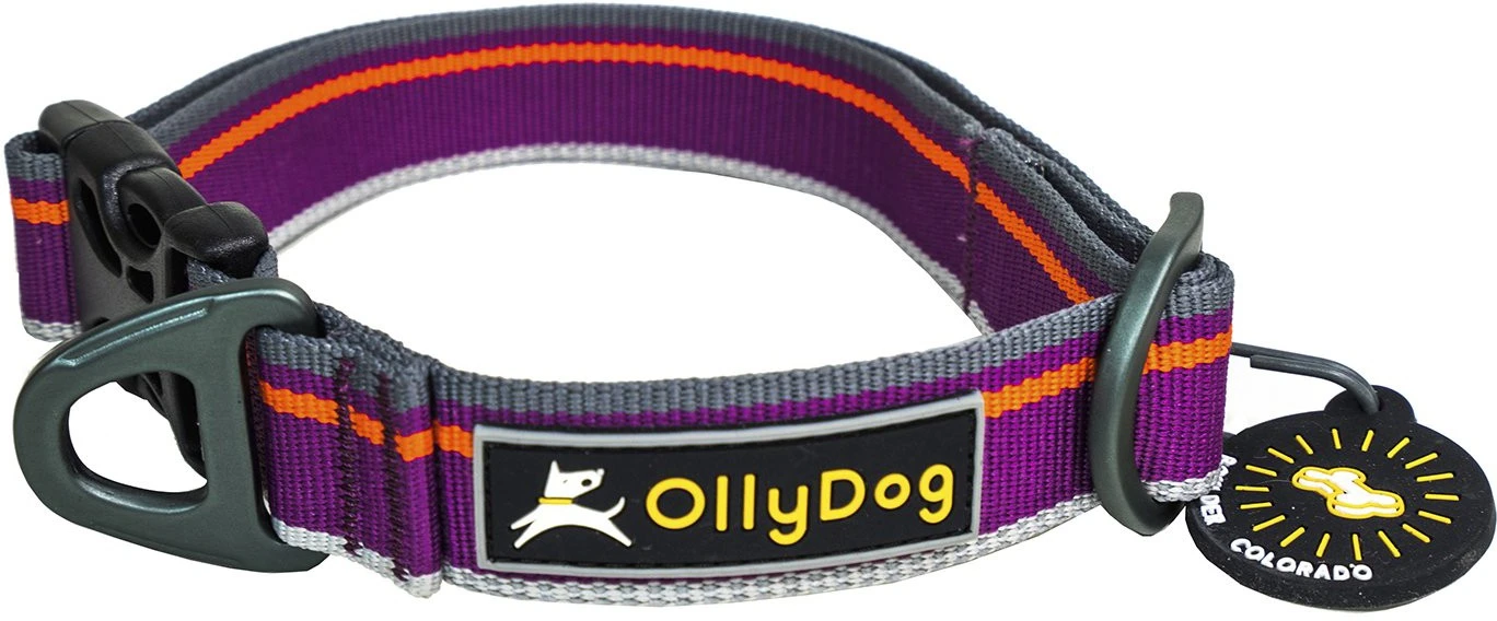 OllyDog Urban Trail Reflective Collar Wild Aster 4 OllyDog Urban Trail Reflective Collar Wild Aster - Image 2