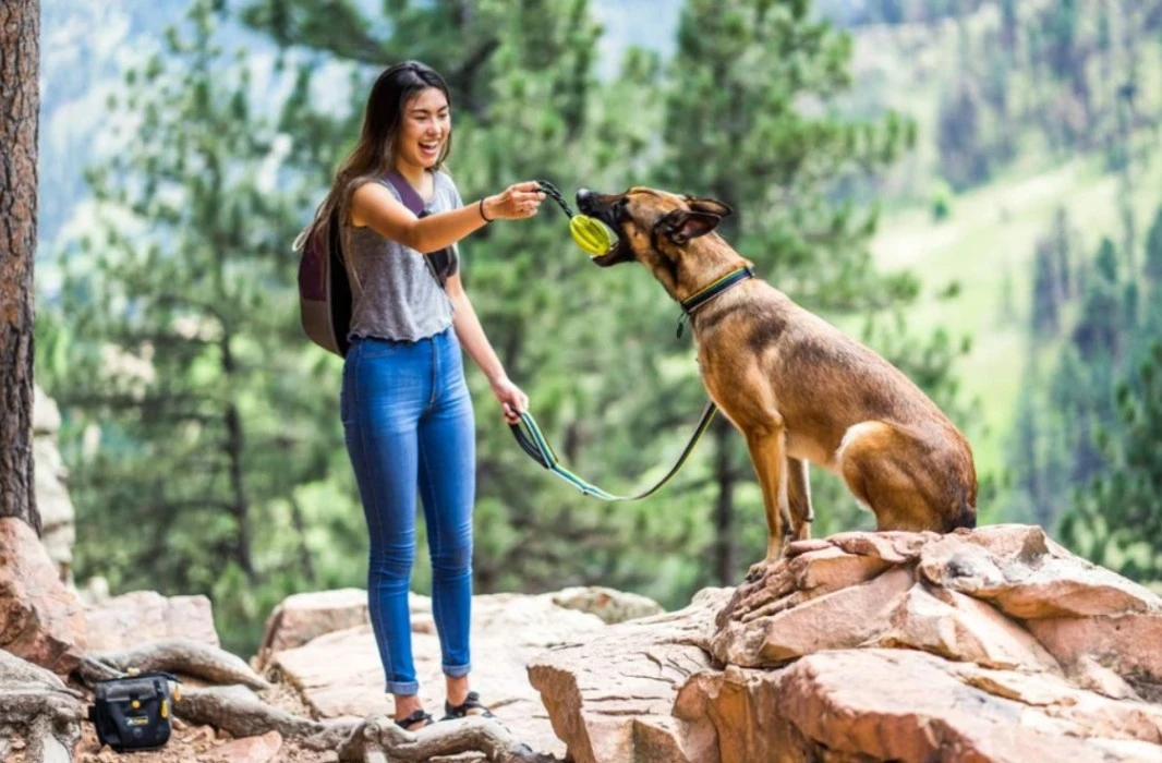 OllyDog Urban Trail Reflective Collar Wild Aster 5 OllyDog Urban Trail Reflective Collar Wild Aster - Image 3