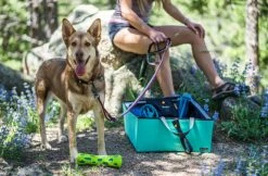 OllyDog Urban Trail Reflective Collar Wild Aster 9 OllyDog Urban Trail Reflective Collar Wild Aster -Hurtta myymälä ollydog urban trail reflective collar wild aster 3