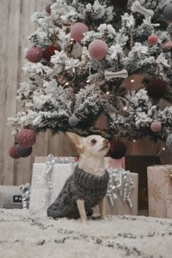 PAIKKA Handmade Knit Koiran Neulepusero, 20-30 Cm, Maastonvihreä -Hurtta myymälä paikka handmade knit green 20 30 cm 1