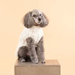 PAIKKA Handmade Knit Koiran Neulepusero, 20-30 Cm, Luonnonvalkoinen -Hurtta myymälä paikka handmade knit white 20 30 cm 1 1