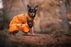 PAIKKA Recovery Raincoat Sadetakki Infrapunakangasvuorilla, 30 Cm, Oranssi 12 PAIKKA Recovery Raincoat Sadetakki Infrapunakangasvuorilla, 30 Cm, Oranssi -Hurtta myymälä paikka recovery raincoat orange 30 cm 3