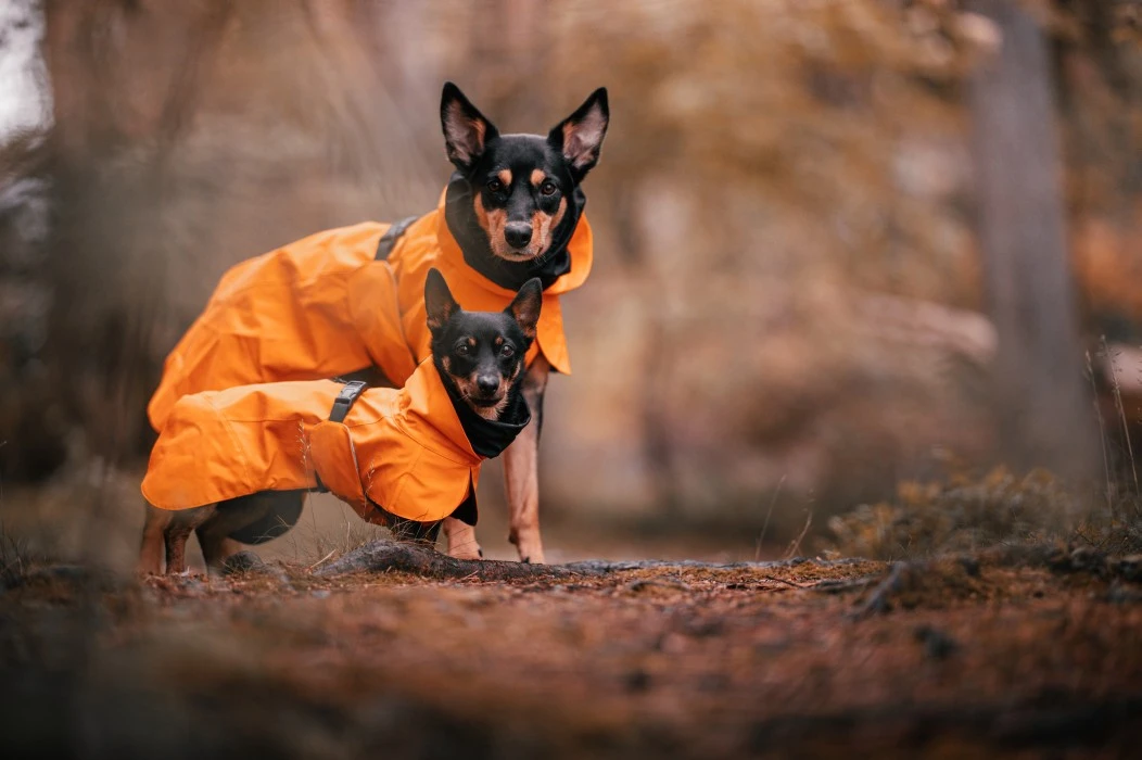 PAIKKA Recovery Raincoat Sadetakki Infrapunakangasvuorilla, 30 Cm, Oranssi 6 PAIKKA Recovery Raincoat Sadetakki Infrapunakangasvuorilla, 30 Cm, Oranssi - Image 4