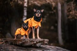 PAIKKA Recovery Raincoat Sadetakki Infrapunakangasvuorilla, 30 Cm, Oranssi 13 PAIKKA Recovery Raincoat Sadetakki Infrapunakangasvuorilla, 30 Cm, Oranssi -Hurtta myymälä paikka recovery raincoat orange 30 cm 4