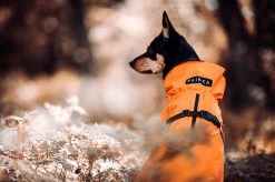 PAIKKA Recovery Raincoat Sadetakki Infrapunakangasvuorilla, 30 Cm, Oranssi 15 PAIKKA Recovery Raincoat Sadetakki Infrapunakangasvuorilla, 30 Cm, Oranssi -Hurtta myymälä paikka recovery raincoat orange 30 cm 7