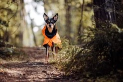 PAIKKA Recovery Raincoat Sadetakki Infrapunakangasvuorilla, 55-60 Cm, Oranssi 14 PAIKKA Recovery Raincoat Sadetakki Infrapunakangasvuorilla, 55-60 Cm, Oranssi -Hurtta myymälä paikka recovery raincoat orange 55 60 cm 5