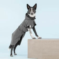 PAIKKA Visibility Raincoat Koiran Sadetakki, 35-50 Cm, Harmaa -Hurtta myymälä paikka visibility raincoat dark 35 50 cm 1 3