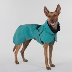 PAIKKA Visibility Raincoat Koiran Sadetakki, 55 - 60 Cm, Petrooli -Hurtta myymälä paikka visibility raincoat emerald 55 60 cm 1 2
