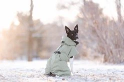 PAIKKA Visibility Winter Jacket Talvitakki Infrapunakangasvuorilla, 30 Cm, Tummanharmaa -Hurtta myymälä paikka visibility winter jacket dark 30 cm 5