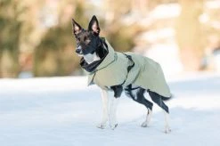 PAIKKA Visibility Winter Jacket Talvitakki Infrapunakangasvuorilla, 55-60 Cm, Maastonvihreä -Hurtta myymälä paikka visibility winter jacket green 55 60 cm 4