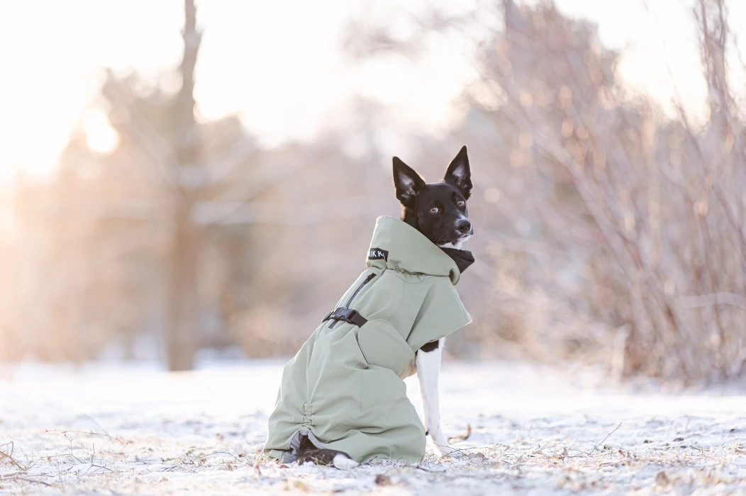 PAIKKA Visibility Winter Jacket Talvitakki Infrapunakangasvuorilla, 30 Cm, Lila 9 PAIKKA Visibility Winter Jacket Talvitakki Infrapunakangasvuorilla, 30 Cm, Lila - Image 7
