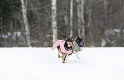 PAIKKA Visibility Winter Jacket Talvitakki Infrapunakangasvuorilla, 55-60 Cm, Lila -Hurtta myymälä paikka visibility winter jacket lilac 55 60 cm 8