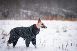 PAIKKA Winter Suit Koiran Talvihaalari, 55-60 Cm, Musta -Hurtta myymälä paikka winter suit black 55 60 cm 2