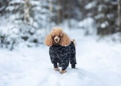 PAIKKA Winter Suit Koiran Talvihaalari, 55-60 Cm, Musta -Hurtta myymälä paikka winter suit black 55 60 cm 4