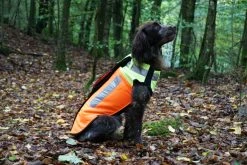 Pinewood BoarProtec -koiran Turvaliivi, M -Hurtta myymälä pinewood boarprotec dog cut protect vest m 4