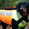 Pinewood BoarProtec -koiran Turvaliivi, XS -Hurtta myymälä pinewood boarprotec dog cut protect vest xs 3