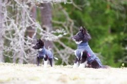 Pomppa JumppaPomppa Koiran Fleecetakki, 44 - 48 Cm, Harmaa -Hurtta myymälä pomppa jumppapomppa graphite 44 48 cm 3