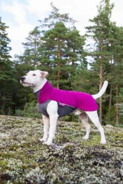 Pomppa JumppaPomppa Koiran Fleecetakki, 60 - 65 Cm, Punavioletti -Hurtta myymälä pomppa jumppapomppa plum 60 65 cm 2