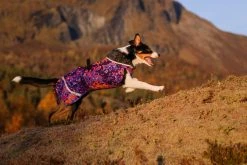 Pomppa PerusPomppa Koirien Talvitakki, 37 - 40 Cm, Cosmos -Hurtta myymälä pomppa peruspomppa cosmos 37 40 cm 1 2