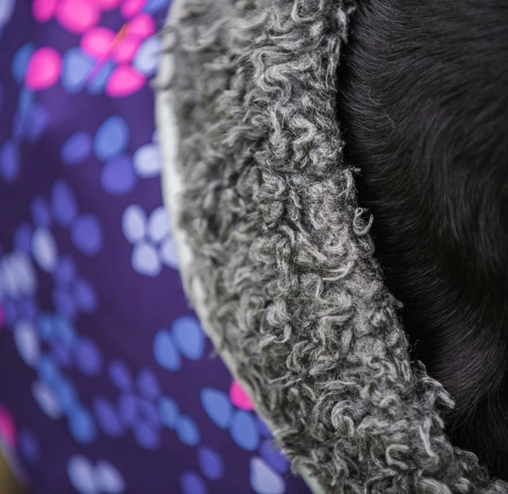 Pomppa PerusPomppa Koirien Talvitakki, 44 - 48 Cm, Cosmos 4 Pomppa PerusPomppa Koirien Talvitakki, 44 - 48 Cm, Cosmos - Image 2