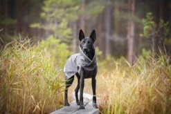 Pomppa SadePomppa Koiran Sadetakki, 25 - 28 Cm, Harmaa -Hurtta myymälä pomppa sadepomppa graphite 25 28 cm 2