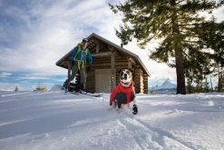 RuffWear Furness Jacket Koiran Talvitakki, Red Sumac -Hurtta myymälä ruffwear furness jacket red sumac 4