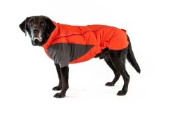 RuffWear Furness Jacket Koiran Talvitakki, Red Sumac -Hurtta myymälä ruffwear furness jacket red sumac 7