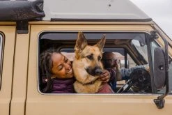 RuffWear Hemp Hound Sweater Koirantakki, Fired Brick -Hurtta myymälä ruffwear hemp hound sweater fired brick 2