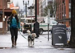 RuffWear Home Trail Hip Pack Vyölaukku, Heliotrope Purple -Hurtta myymälä ruffwear home trail hip pack heliotrope purple 8