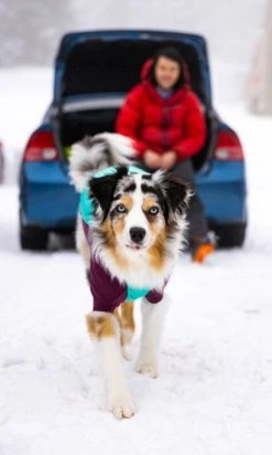 RuffWear Powder Hound Jacket Koiran Talvitakki, Aurora Teal -Hurtta myymälä ruffwear powder hound jacket aurora teal 2