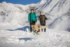 RuffWear Powder Hound Jacket Koiran Talvitakki, Aurora Teal -Hurtta myymälä ruffwear powder hound jacket aurora teal 3