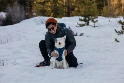 RuffWear Quinzee Jacket Koiran Takki, Sininen -Hurtta myymälä ruffwear quinzee jacket blue moon 11