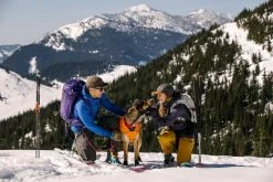 RuffWear Quinzee Jacket Koiran Takki, Oranssi -Hurtta myymälä ruffwear quinzee jacket campfire orange 4
