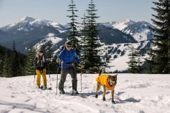 RuffWear Quinzee Jacket Koiran Takki, Oranssi -Hurtta myymälä ruffwear quinzee jacket campfire orange 5