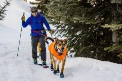 RuffWear Quinzee Jacket Koiran Takki, Oranssi -Hurtta myymälä ruffwear quinzee jacket campfire orange 6