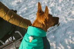 RuffWear Vert Koiran Talvitakki, Aurora Teal 16 RuffWear Vert Koiran Talvitakki, Aurora Teal -Hurtta myymälä ruffwear vert jacket aurora teal 6