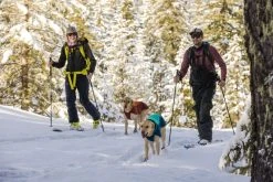 RuffWear Vert Koiran Talvitakki, Aurora Teal 17 RuffWear Vert Koiran Talvitakki, Aurora Teal -Hurtta myymälä ruffwear vert jacket aurora teal 7