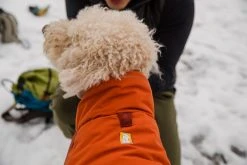 RuffWear Vert Koiran Talvitakki, Canyonlands Orange -Hurtta myymälä ruffwear vert jacket canyonlands orange 5