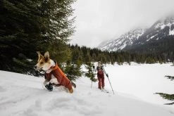 RuffWear Vert Koiran Talvitakki, Canyonlands Orange -Hurtta myymälä ruffwear vert jacket canyonlands orange 6
