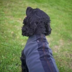 Siccaro Pro-tect Koiran Lämpöheijastava Liivi -Hurtta myymälä siccaro pro tect 1 1